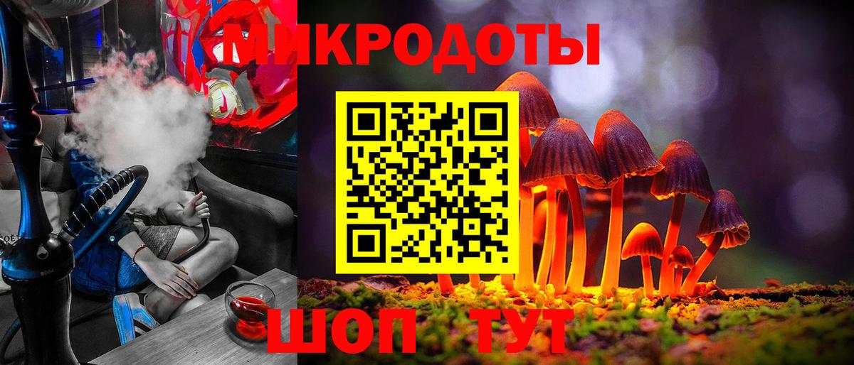 Ржев  Псилоцибиновые грибы мицелий  Вход с VPN  Псилоцибиновые грибы Psilocybe 